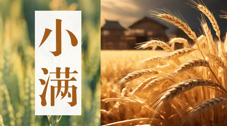 臺(tái)碩儀器傳統(tǒng)節(jié)氣：小滿(mǎn)時(shí)節(jié)，豐收在望，生活滿(mǎn)滿(mǎn)當(dāng)當(dāng)！